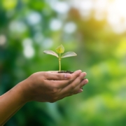 Como portas e janelas antirruído colaboram com a sustentabilidade?