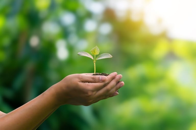 Como portas e janelas antirruído colaboram com a sustentabilidade?
