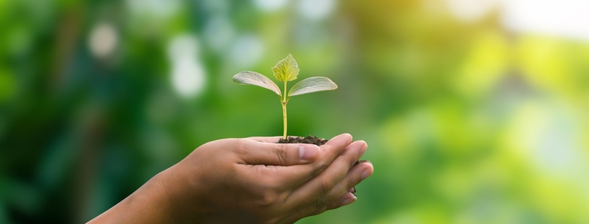 Como portas e janelas antirruído colaboram com a sustentabilidade?