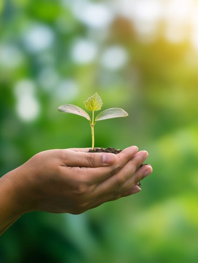 Como portas e janelas antirruído colaboram com a sustentabilidade?