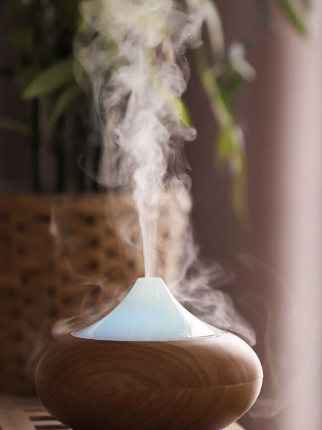 pulverizador de ambiente soltando vapor