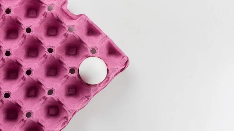 caixa de ovo com uma unidade de ovo