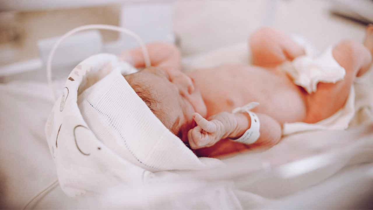 Prematuro deitado em berço hospitalar logo após o nascimento, usando pulseira de identificação e fralda